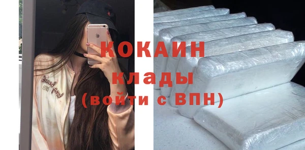 стафф Елизово