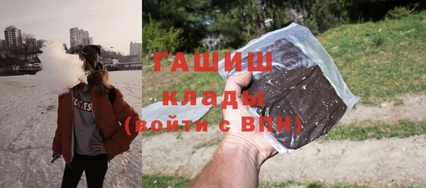 стаф Ельня
