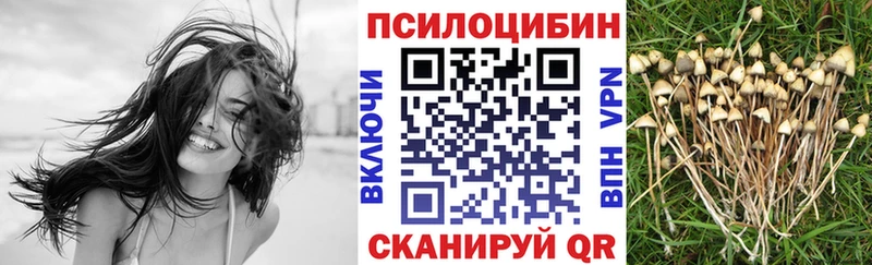 Псилоцибиновые грибы Magic Shrooms  Керчь 